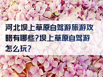 河北坝上草原自驾游旅游攻略有哪些？坝上草原自驾游怎么玩？