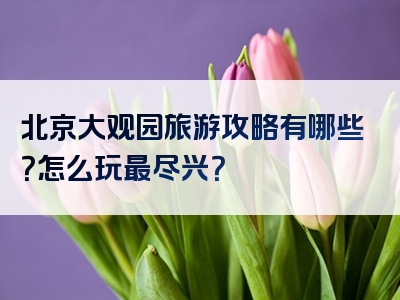 北京大观园旅游攻略有哪些？怎么玩最尽兴？