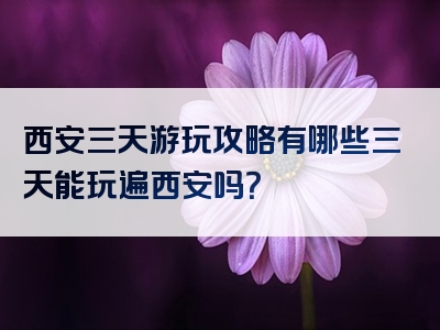西安三天游玩攻略有哪些三天能玩遍西安吗？