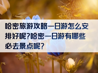 哈密旅游攻略一日游怎么安排好呢？哈密一日游有哪些必去景点呢？