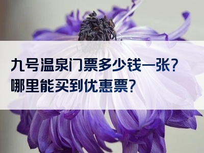 九号温泉门票多少钱一张？哪里能买到优惠票？