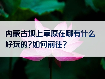 内蒙古坝上草原在哪有什么好玩的？如何前往？
