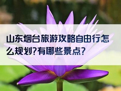 山东烟台旅游攻略自由行怎么规划？有哪些景点？