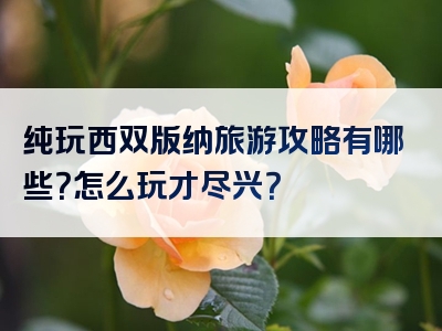 纯玩西双版纳旅游攻略有哪些？怎么玩才尽兴？