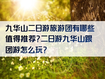 九华山二日游旅游团有哪些值得推荐？二日游九华山跟团游怎么玩？