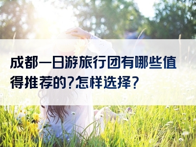 成都一日游旅行团有哪些值得推荐的？怎样选择？
