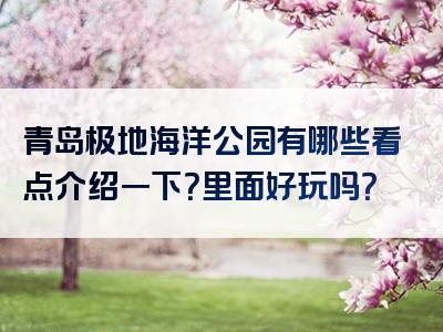 青岛极地海洋公园有哪些看点介绍一下？里面好玩吗？