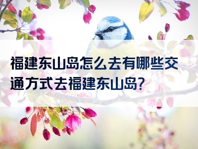 福建东山岛怎么去有哪些交通方式去福建东山岛？