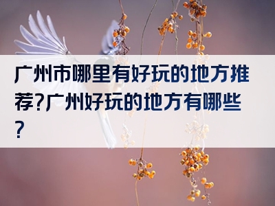 广州市哪里有好玩的地方推荐？广州好玩的地方有哪些？