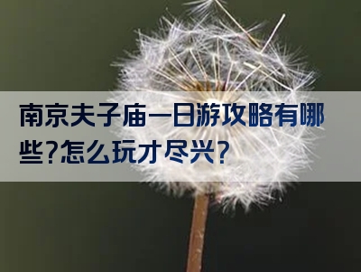 南京夫子庙一日游攻略有哪些？怎么玩才尽兴？