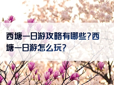 西塘一日游攻略有哪些？西塘一日游怎么玩？