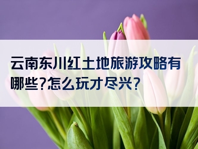 云南东川红土地旅游攻略有哪些？怎么玩才尽兴？