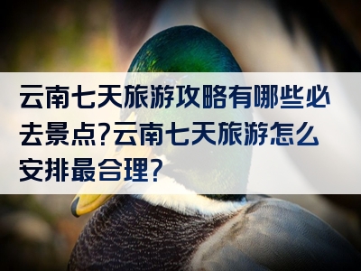 云南七天旅游攻略有哪些必去景点？云南七天旅游怎么安排最合理？