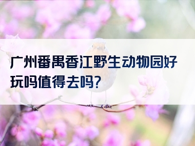 广州番禺香江野生动物园好玩吗值得去吗？