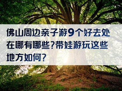 佛山周边亲子游9个好去处在哪有哪些？带娃游玩这些地方如何？