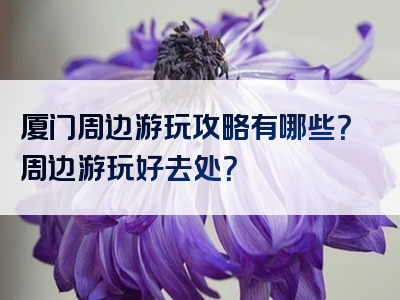 厦门周边游玩攻略有哪些？周边游玩好去处？