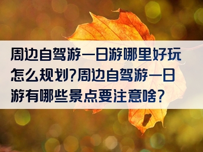 周边自驾游一日游哪里好玩怎么规划？周边自驾游一日游有哪些景点要注意啥？