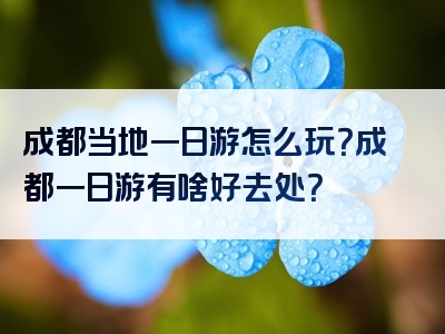 成都当地一日游怎么玩？成都一日游有啥好去处？