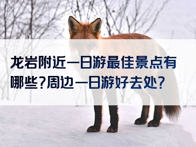 龙岩附近一日游最佳景点有哪些？周边一日游好去处？