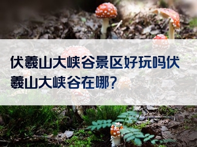 伏羲山大峡谷景区好玩吗伏羲山大峡谷在哪？