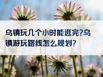 乌镇玩几个小时能逛完？乌镇游玩路线怎么规划？
