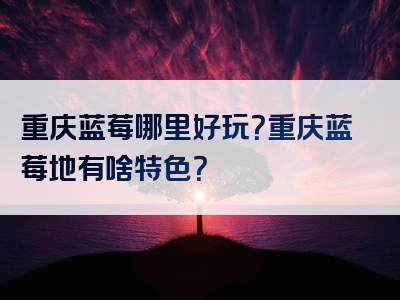 重庆蓝莓哪里好玩？重庆蓝莓地有啥特色？