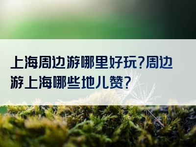 上海周边游哪里好玩？周边游上海哪些地儿赞？