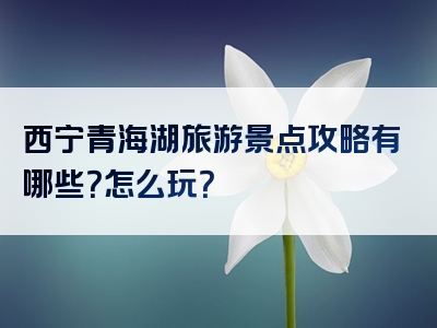 西宁青海湖旅游景点攻略有哪些？怎么玩？
