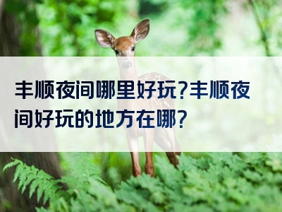 丰顺夜间哪里好玩？丰顺夜间好玩的地方在哪？