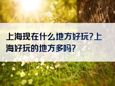 上海现在什么地方好玩？上海好玩的地方多吗？