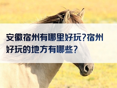 安徽宿州有哪里好玩？宿州好玩的地方有哪些？