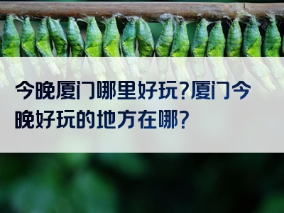 今晚厦门哪里好玩？厦门今晚好玩的地方在哪？