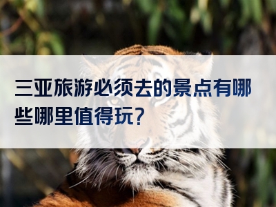三亚旅游必须去的景点有哪些哪里值得玩？
