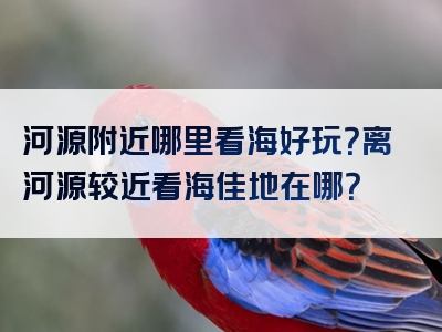 河源附近哪里看海好玩？离河源较近看海佳地在哪？