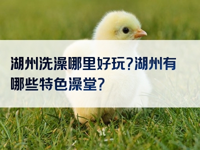 湖州洗澡哪里好玩？湖州有哪些特色澡堂？