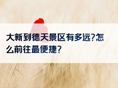 大新到德天景区有多远？怎么前往最便捷？