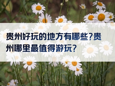 贵州好玩的地方有哪些？贵州哪里最值得游玩？