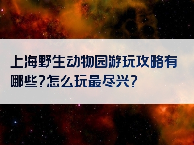 上海野生动物园游玩攻略有哪些？怎么玩最尽兴？