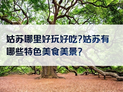 姑苏哪里好玩好吃？姑苏有哪些特色美食美景？