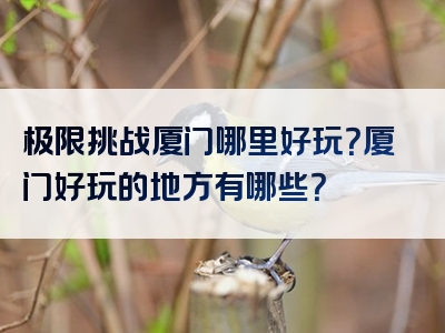 极限挑战厦门哪里好玩？厦门好玩的地方有哪些？