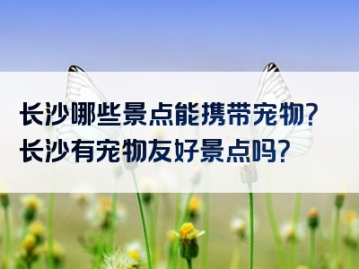长沙哪些景点能携带宠物？长沙有宠物友好景点吗？