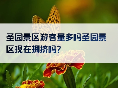 圣园景区游客量多吗圣园景区现在拥挤吗？