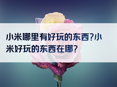 小米哪里有好玩的东西？小米好玩的东西在哪？