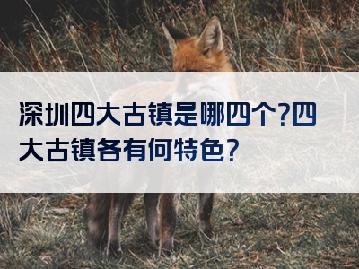 深圳四大古镇是哪四个？四大古镇各有何特色？