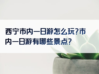 西宁市内一日游怎么玩？市内一日游有哪些景点？