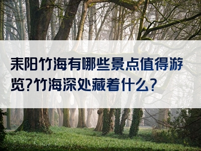 耒阳竹海有哪些景点值得游览？竹海深处藏着什么？
