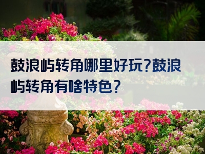 鼓浪屿转角哪里好玩？鼓浪屿转角有啥特色？