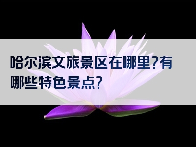 哈尔滨文旅景区在哪里？有哪些特色景点？