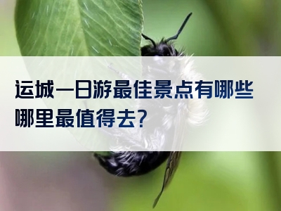 运城一日游最佳景点有哪些哪里最值得去？