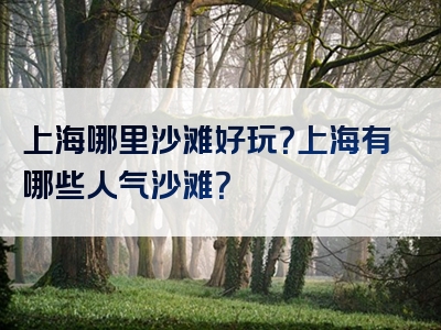 上海哪里沙滩好玩？上海有哪些人气沙滩？